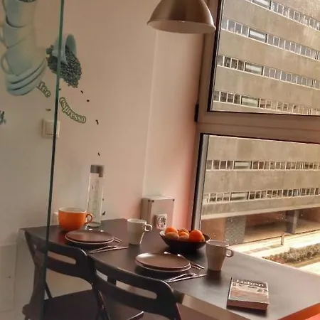 New Luxury Flat In Santa Clara